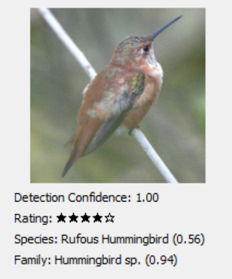 Species search results