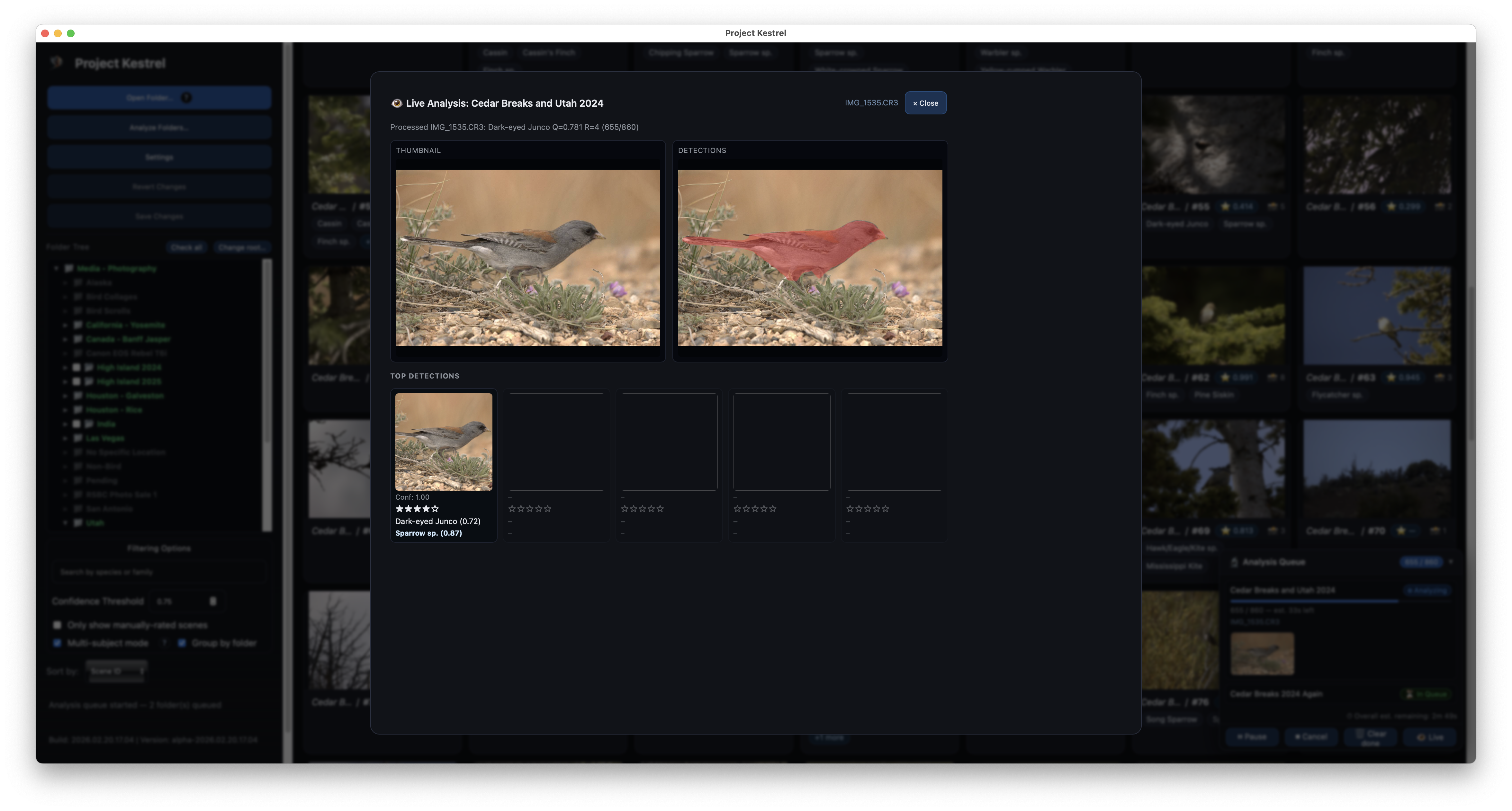 Project Kestrel interface