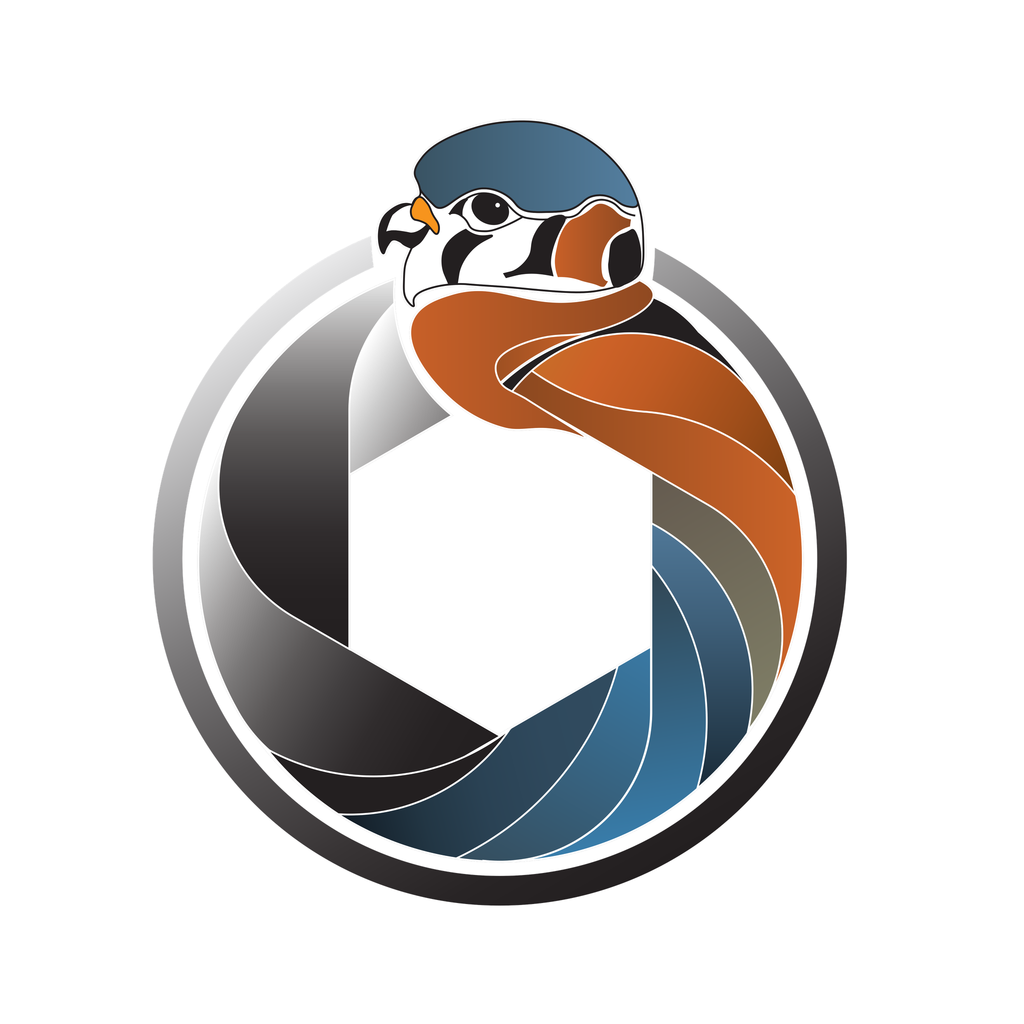 Project Kestrel logo